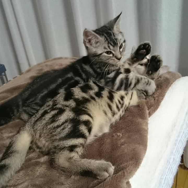 Aafa8bc2 a441 4fdc a0ae 8f6101575aa3