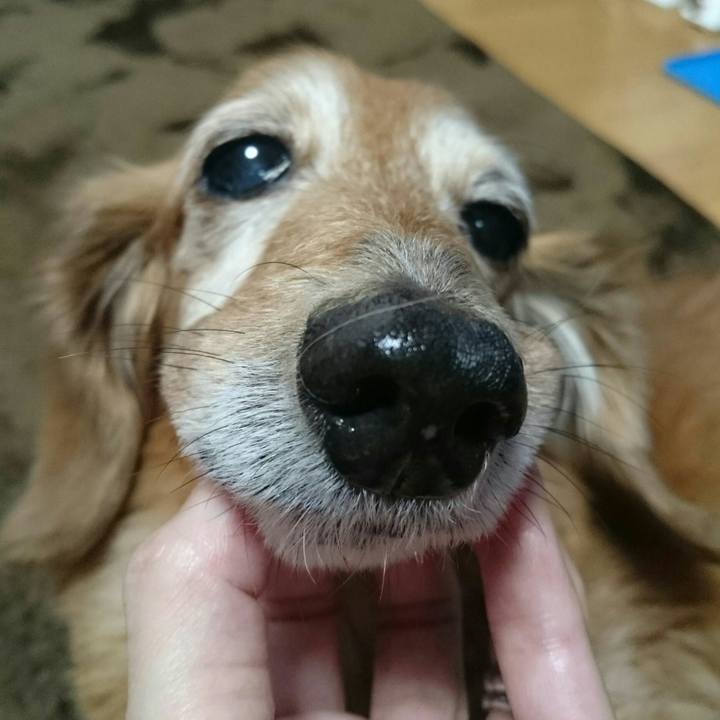 Aafabacb cf91 4cda 9065 3826d9dc2043