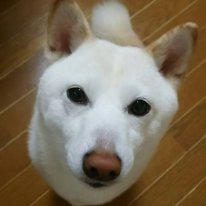 Aafacea4 f02c 415a a09f d7c7de179c6b