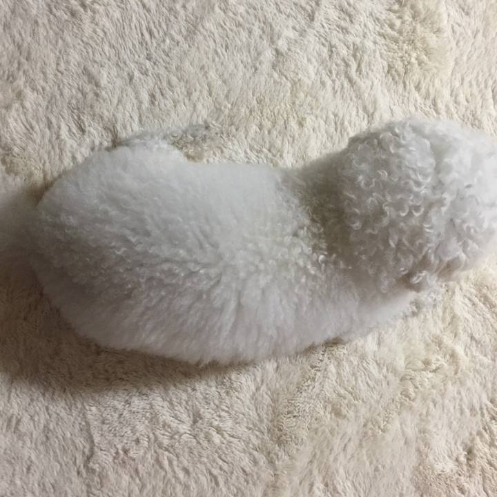 Aafad15b 45bf 4175 bc1a 6727b02a6cca