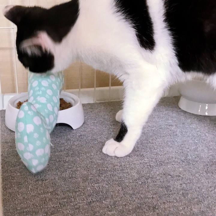 Aafadd3a 26a4 47db b47c 3b89511b721f