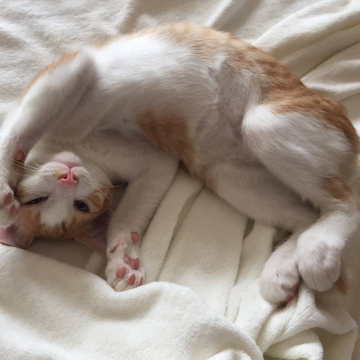 Aafaf3a5 226e 4404 a5ab 29bf6241a8f2