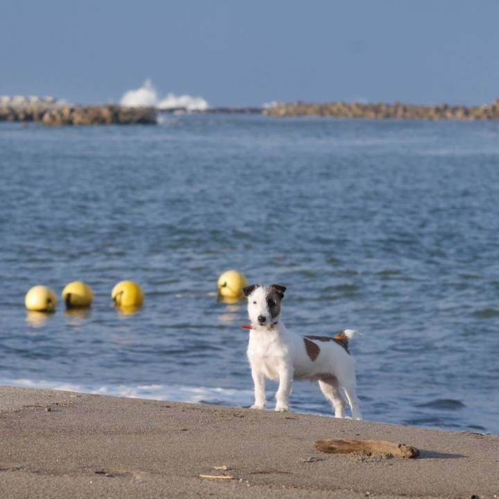 Aafb037b 6863 4569 bb7c 0b8f0e1db4f9