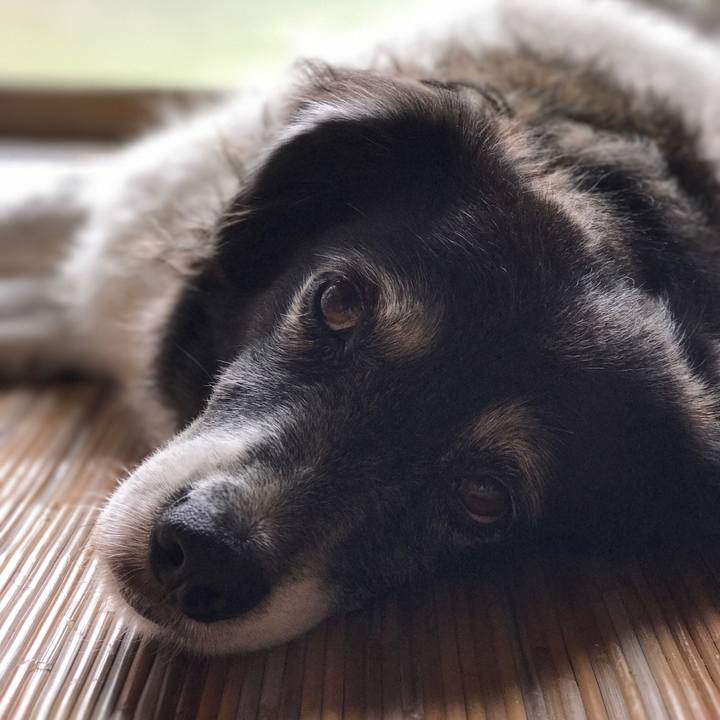 Aafb516c fe3e 4688 8a2a 21dc5f045a8a