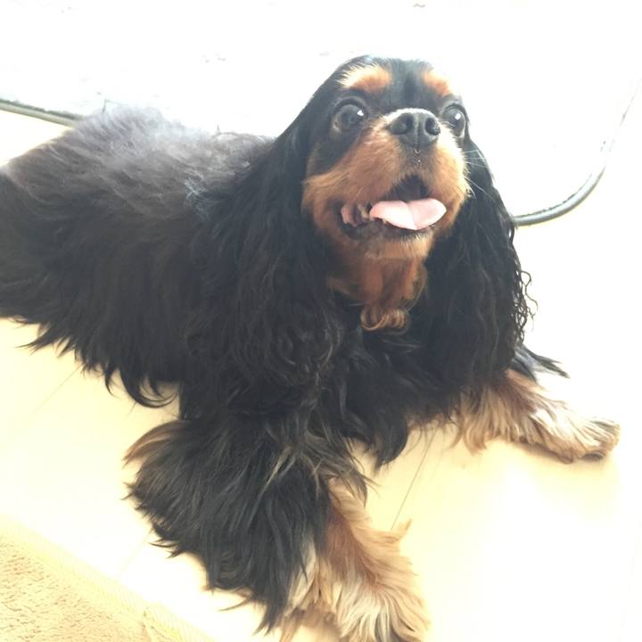 Aafb62b5 4cb7 448a b94a d215072b3c03