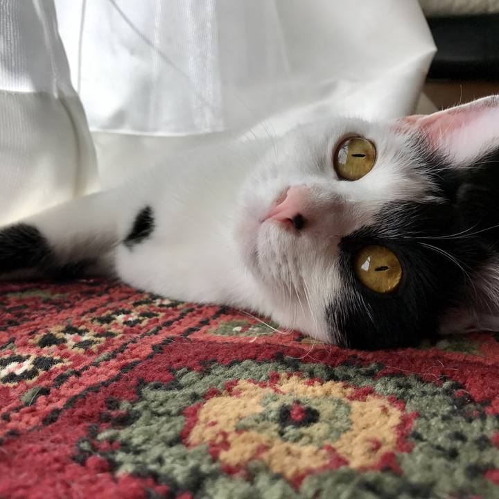 Aafd3a39 27d3 4218 b04e 719b74ce0a09