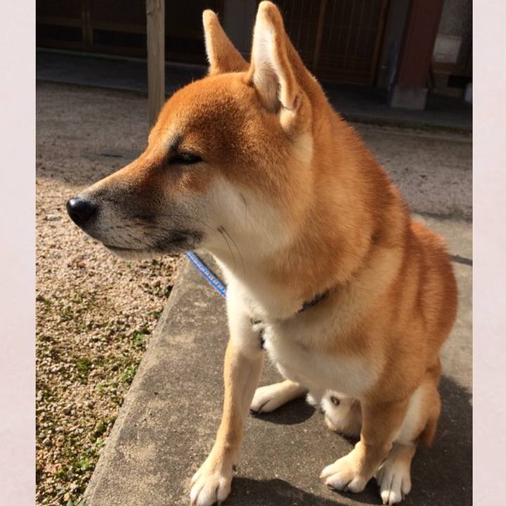 Aafde9ff 89ad 40a2 b121 6c7cd35785b2