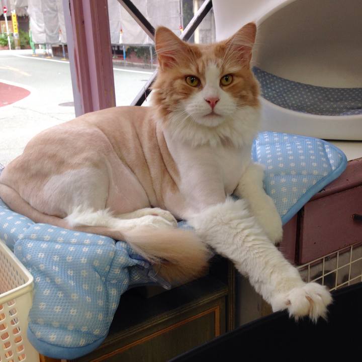 Aaff4fe2 3534 46af 9199 6ad44bbbf2be