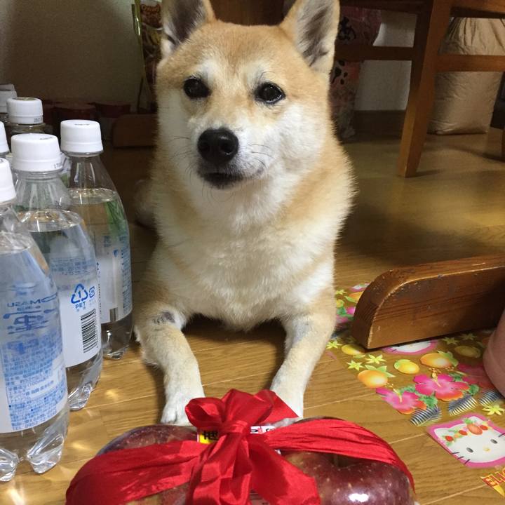 Ab00123c 54e6 42cf 8eeb 059da10f1b73