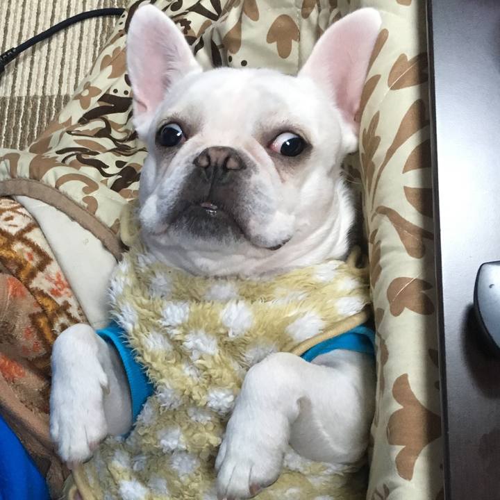 Ab006e45 1665 4e59 928f 75c9d3a2f1a8