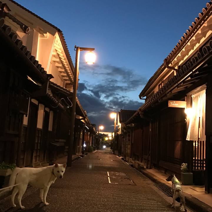 Ab00a04e 2ce9 4b29 8b0d ccf8f85ae19e