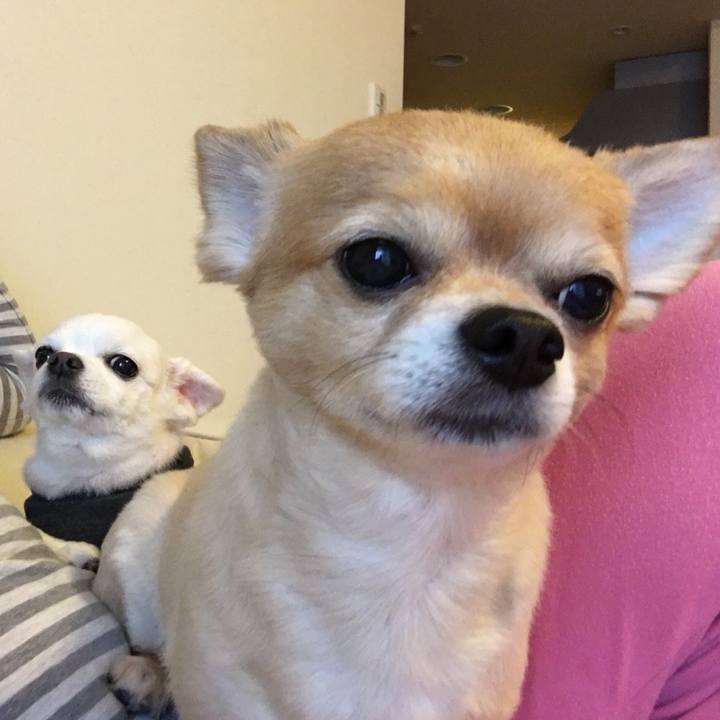 Ab01421e 8cf3 4b7d a7dd f6d75106c167