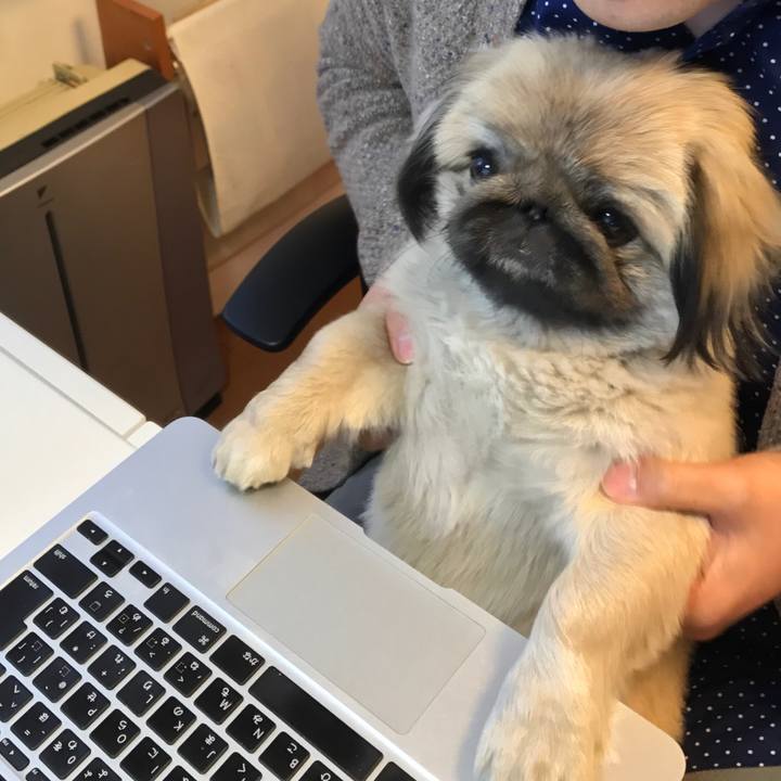 Ab019571 6702 4f00 b9f2 cb6dca6baca5