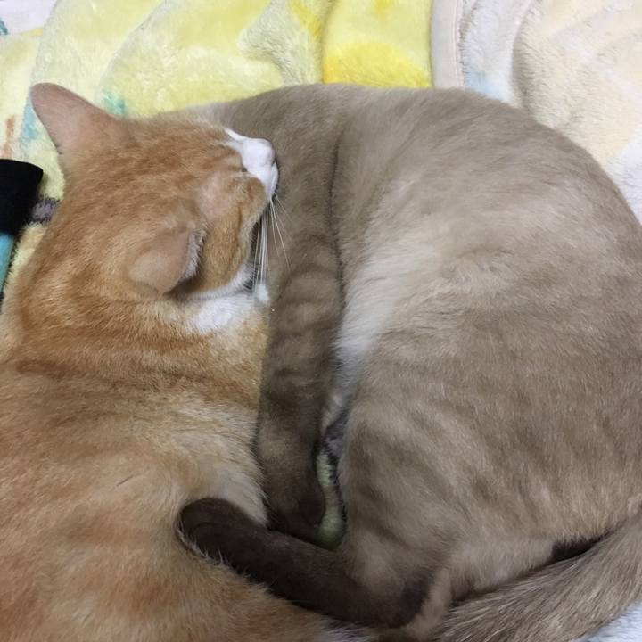 Ab01c8f1 0eb7 4966 991a 750cc8e8f088