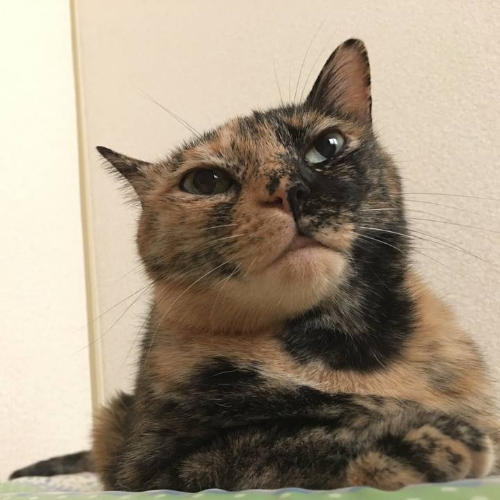 Ab01fba0 61dc 4d36 9d9c af6471a6ac2b