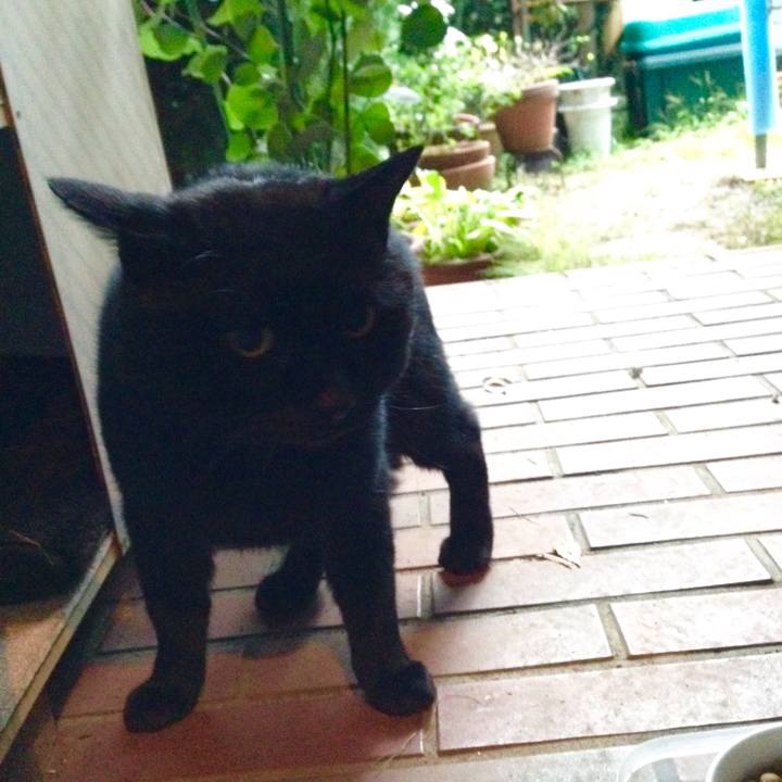 Ab020843 1698 4292 b046 34675263beb2