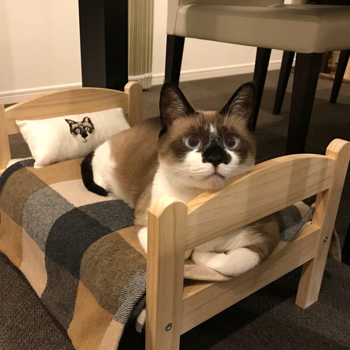 Ab021f05 1cb7 42e4 b33f 92325cf65be2