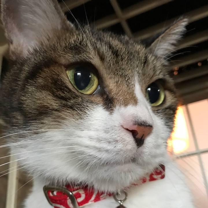 Ab025e64 95a5 4986 99d1 39c6dd2e2e48