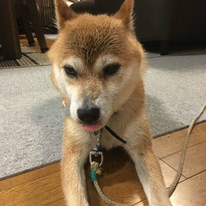 Ab02fe93 ff86 4222 9c90 b427481261b0