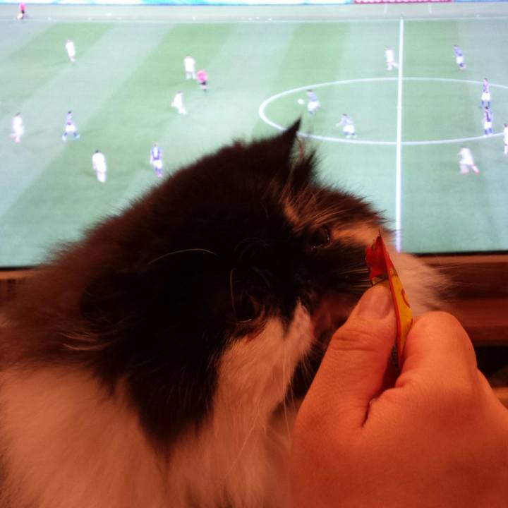 Ab0325b7 8054 44aa a631 0f4fa4bd0b0d