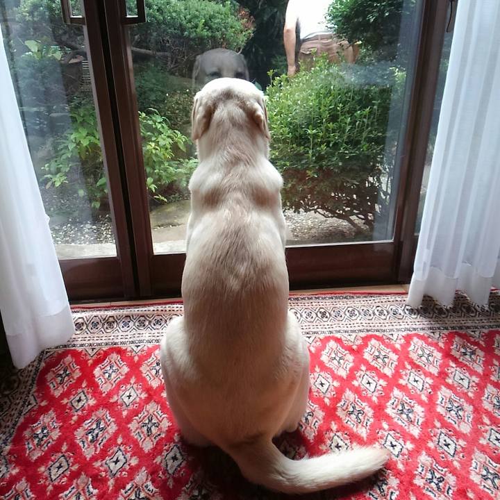 Ab032c08 b111 46ab a3ff 45063ceef3b6