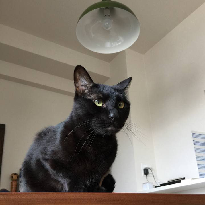 Ab0331fb 3e92 41b6 bd2c 88f6c0a74f13