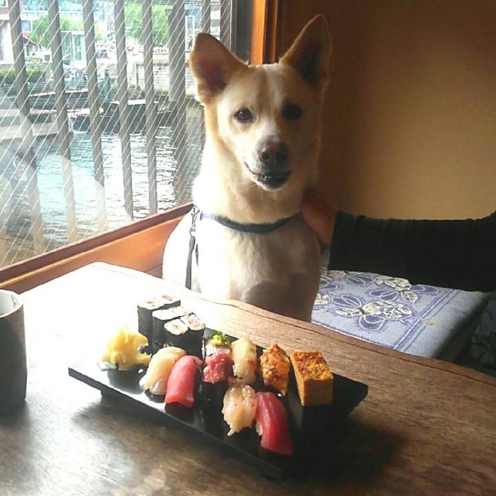 Ab036a4a b7f1 4753 a736 10573776fb61