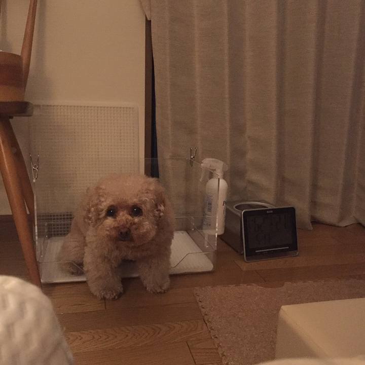 Ab0571f1 80aa 474f 9f8e 56f5dde9da0d