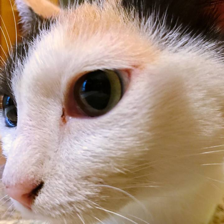 Ab05e3b6 2953 4013 8ca2 b732a4ae0bfe