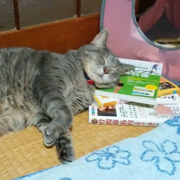 Ab0619bd 443b 4601 be10 cc5f489c50ca