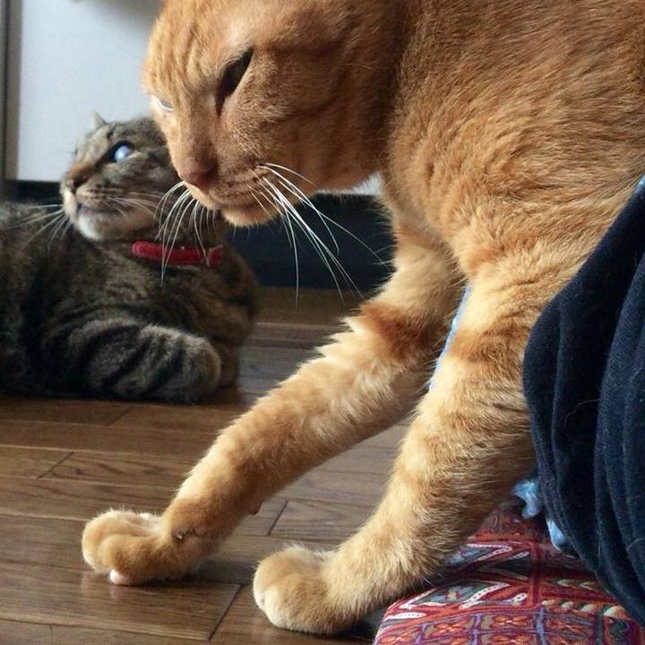 Ab065c3b b244 47a2 a87d 1d411d89858f