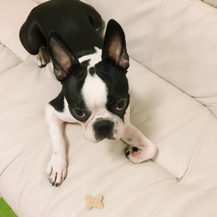 Ab07bae1 ecd1 4624 945f aaff976d5eeb