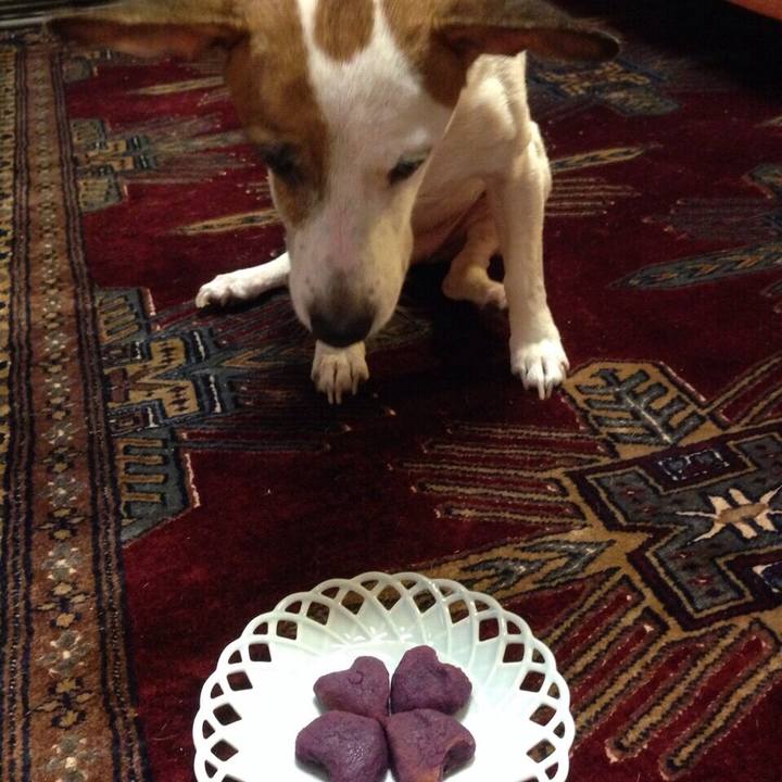 Ab087109 b52c 497b 80db 18e4e030931b