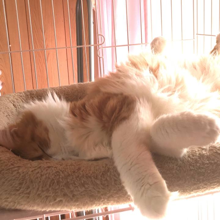 Ab08d3e7 3901 43df b02a 65b0ad44cacc