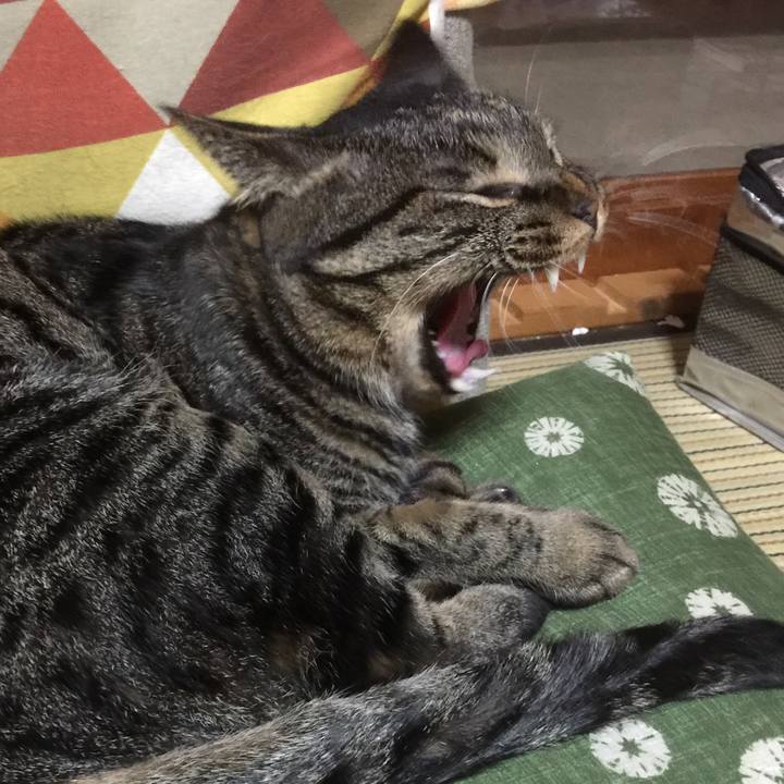 Ab08d698 04fe 4236 ae74 cb87e8705866