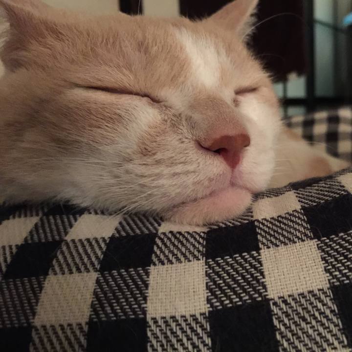 Ab0a1f2f 9e8d 458b a5dc 7c7cfc23df3b