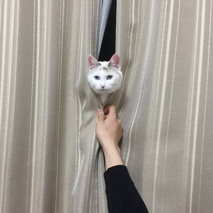 Ab0a9590 91e1 42f4 a88a 0f4c583e5483