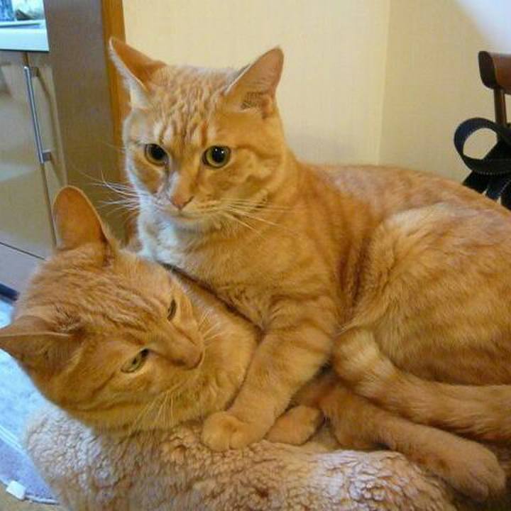 Ab0af103 b077 42c1 baa8 651c000f1ca1