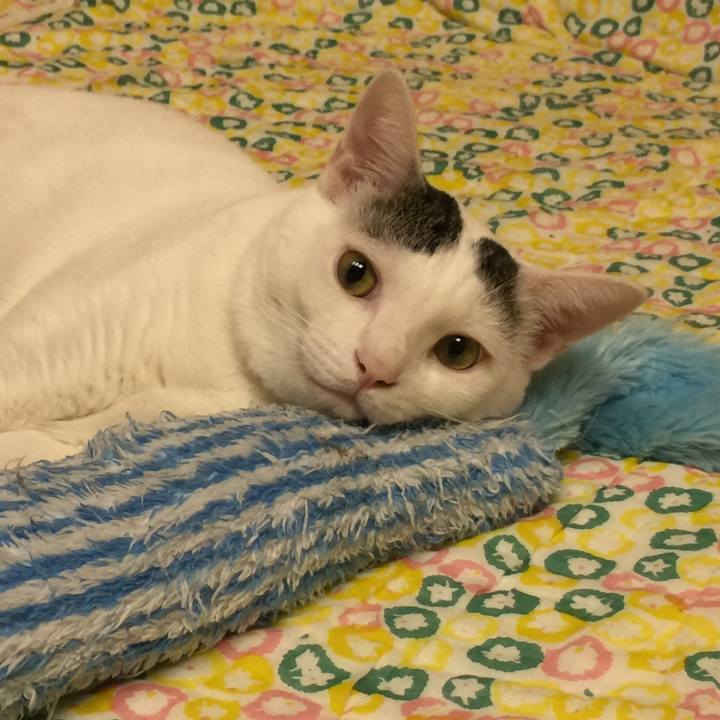 Ab0b389b df4c 4b5c a18e 50440923fe22