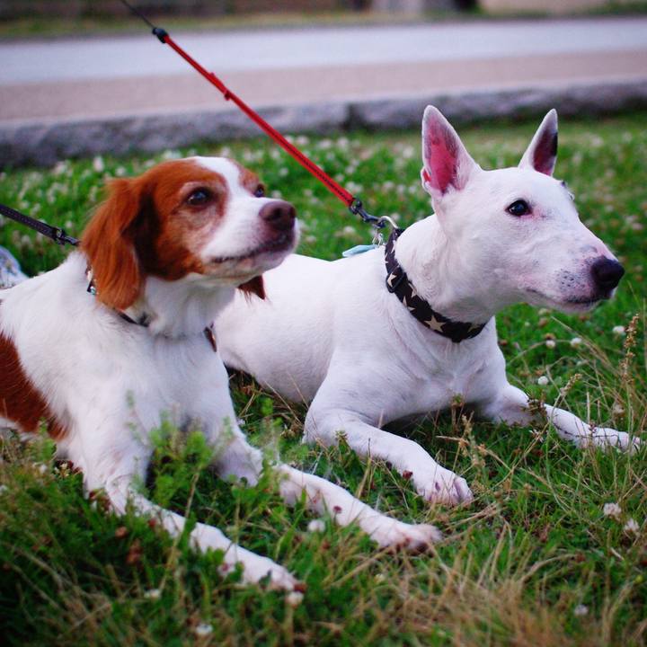 Ab0b403b 89df 46fc bf49 c277e31906d4