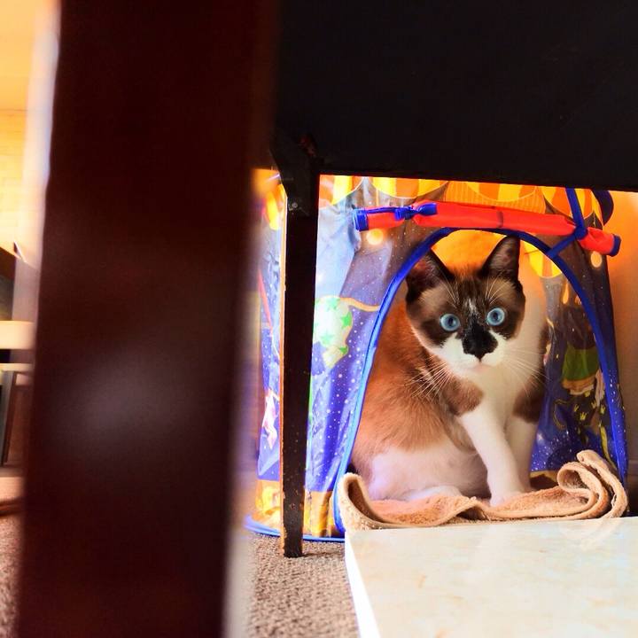 Ab0bbe92 5864 4447 b9b9 7397ed9ff72a