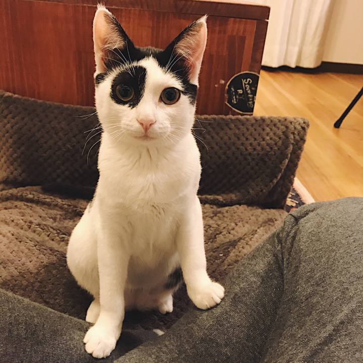 Ab0d64f1 0cf3 4755 8f75 14d5984452ba