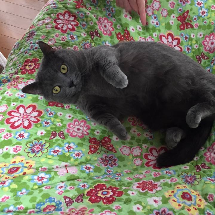 Ab0d7b21 d86a 41d6 89c3 0bc74957eeb1