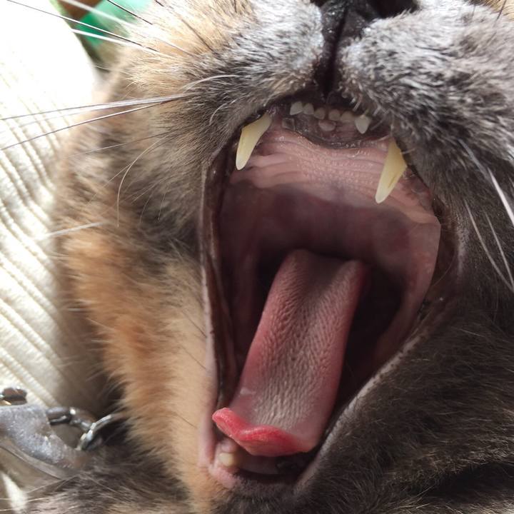 Ab0d8b61 e210 42e2 a18f 2e8e872cf0d1