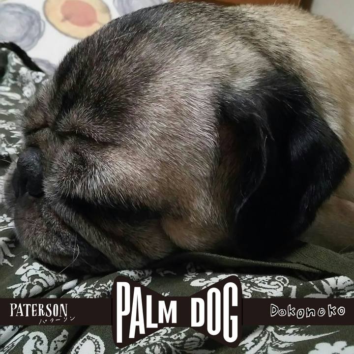 Ab0f7349 38e2 4f9f 9e66 64d2150e1a38