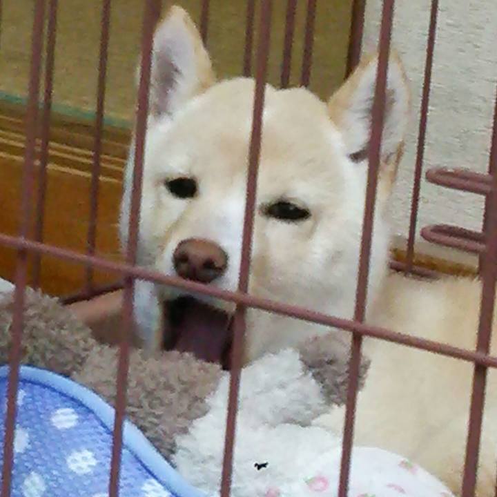 Ab1075b9 e23b 48c9 aaf2 cb724cc89d1e