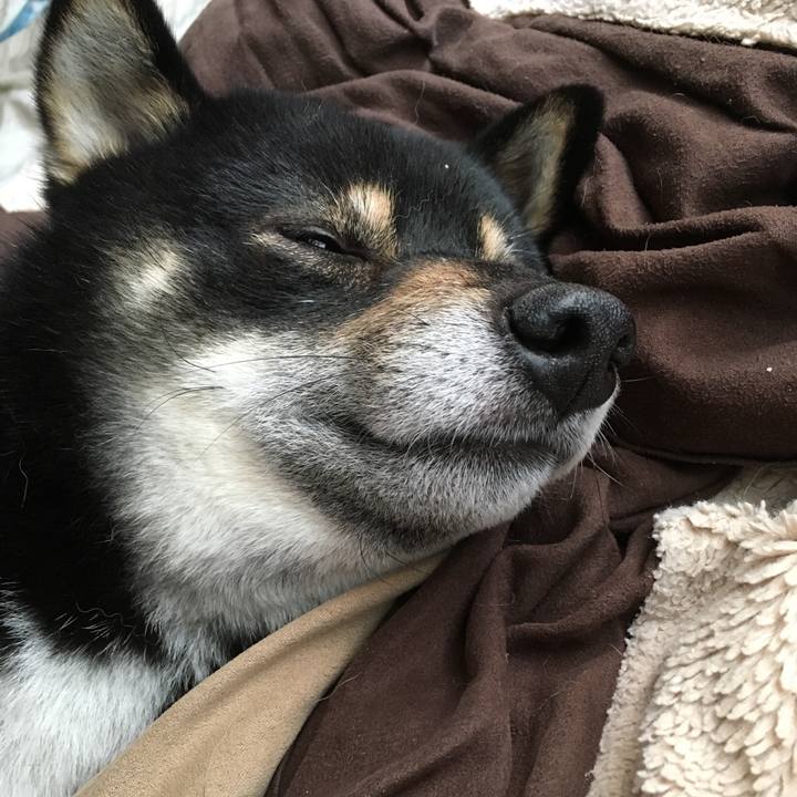 Ab10c0d1 b568 442a 9b49 480a354474be