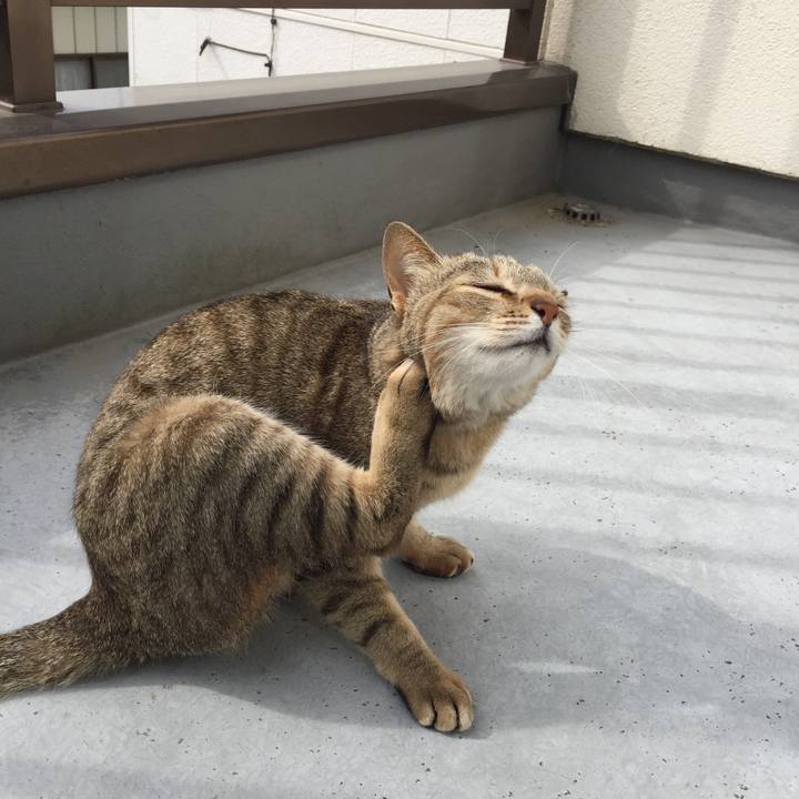 Ab115f6e 6255 47ca 829f baa124f60a4e