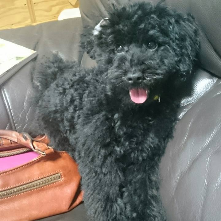 Ab11697c 65ff 40a1 8600 dc6e37f5b481