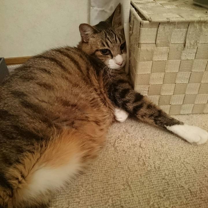 Ab11a7af 94ec 43b7 a4df c1777dcae1a3